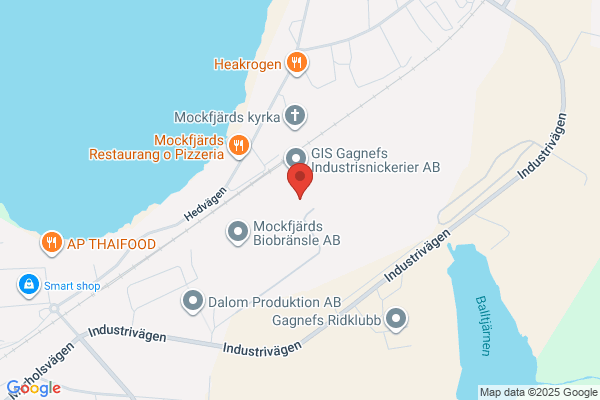 Bergslagens Telecom Service AB