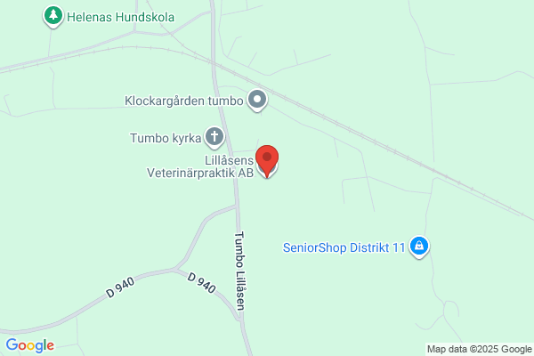 Anglenius, Lena