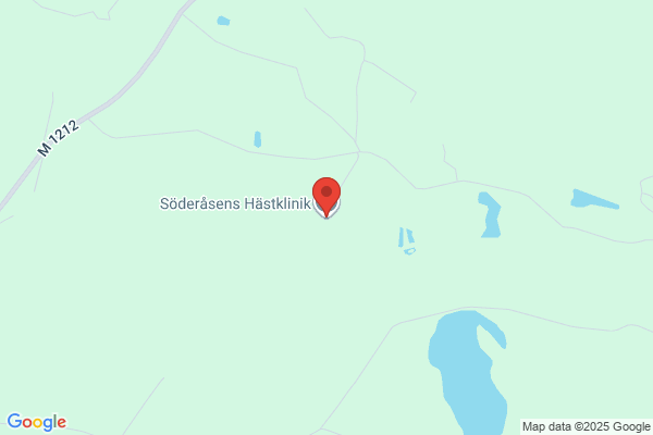 Söderåsens Hästklinik, Veterinär Göran Rydén