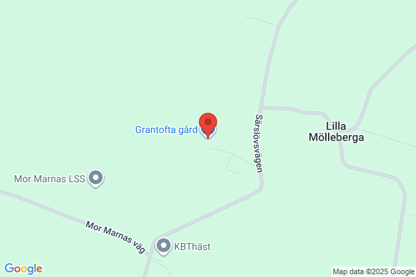 Böketofta Gård o. Grisfarm