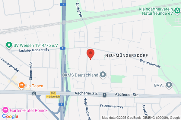 Leso Service & Konsult