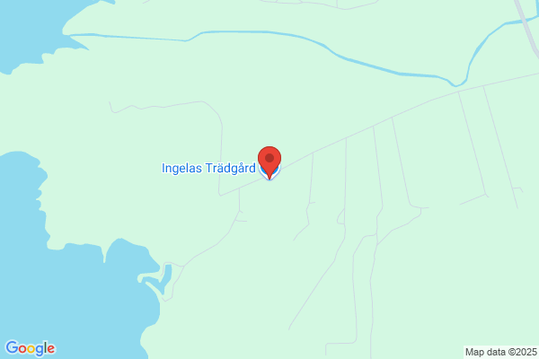 Ingelas trädgård