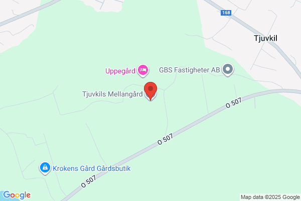 Ulles Hästtjänster