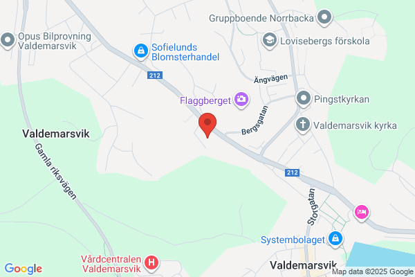 Folkets Hus, Föreningen