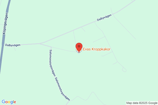 Evas Kroppkakor