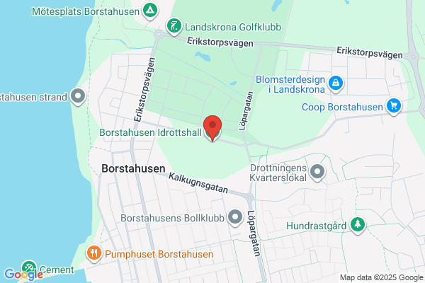 Borstahusens idrottsplats (Fritid och idrott)