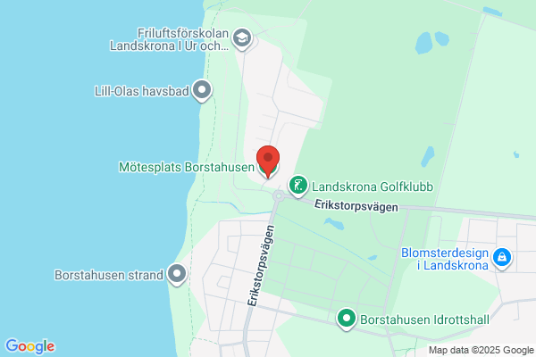 Borstahusen AB