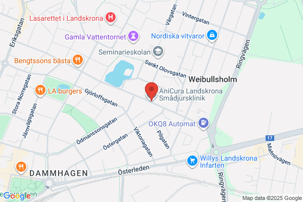 Örestads Smådjursklinik