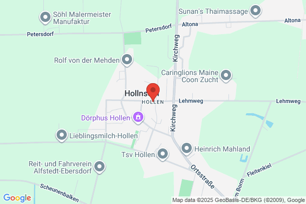 Holländaren, Garaget