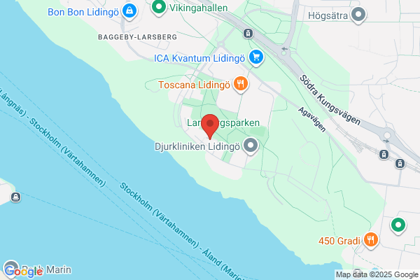 Lidingö Elektriska
