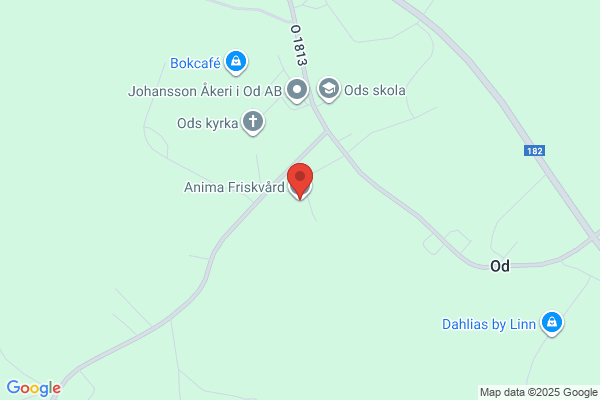 Anima: Helhetspsykoterapi