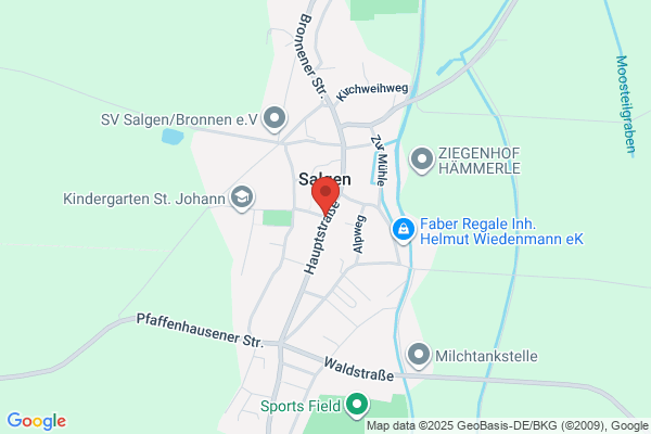 Salgemo