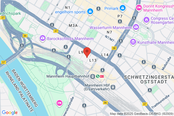 Mannheims IT Management Service