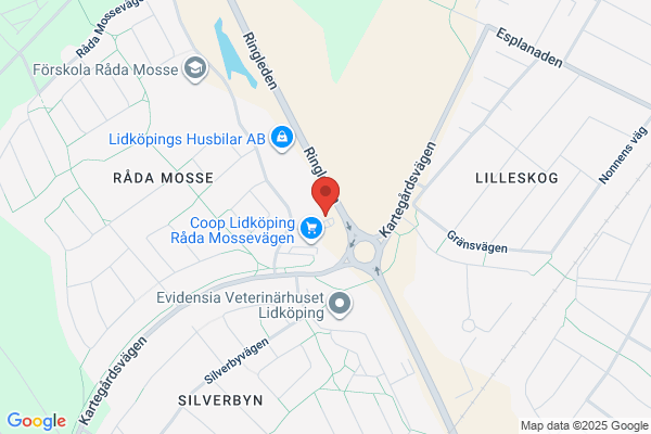Lidköpings Carpart AB