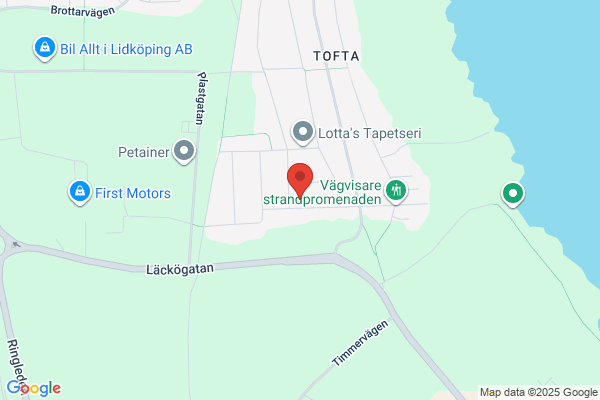 Snickarna Svante & Martin