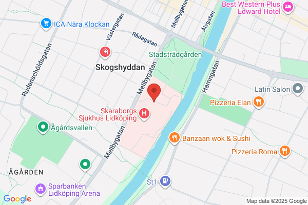Skaraborgs Ortopedservice AB