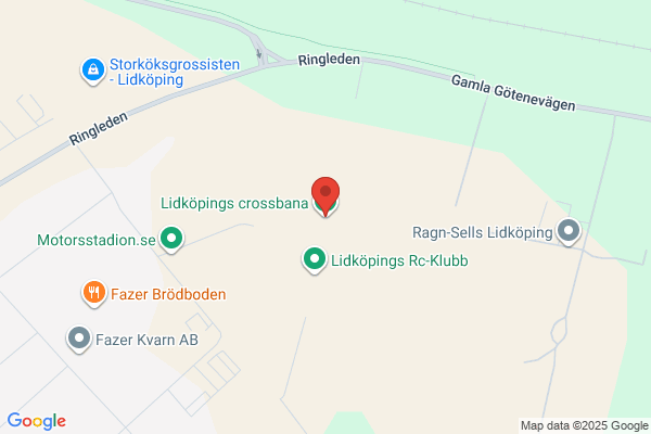 LidköpingsMålarna