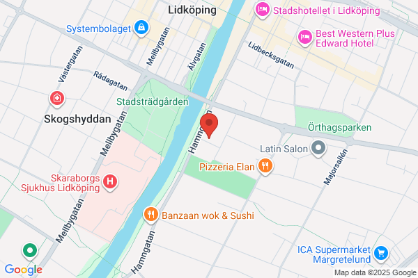 Älvbrinkens Redovisning