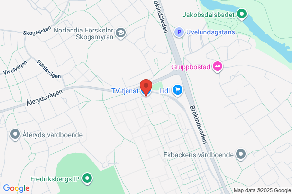 Tvättbjörn