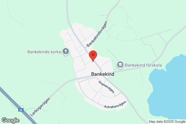 Bankekinds skola (Grundskolor)