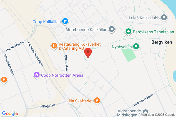 Bergviken (Fritid och idrott)