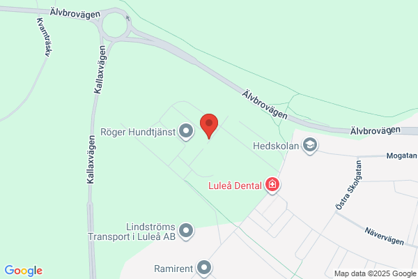 Nya Läroverket
