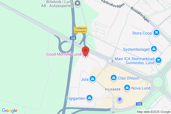 Ibis Lund