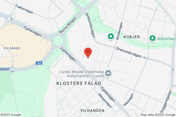 Ögoncentrum Annedal I Lund AB
