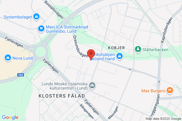 Gabi Westerberg Läkarhuset i Lund