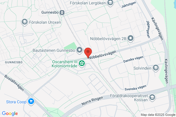 Gunnel Oldbring