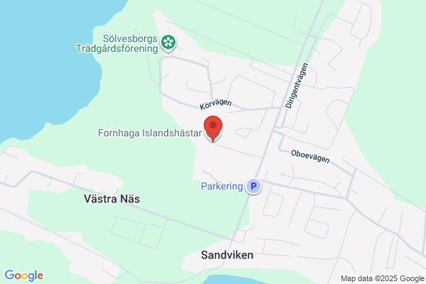 Fornhaga Bilvård