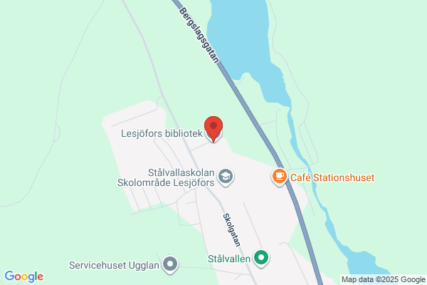 Lesjöfors (Bibliotek)