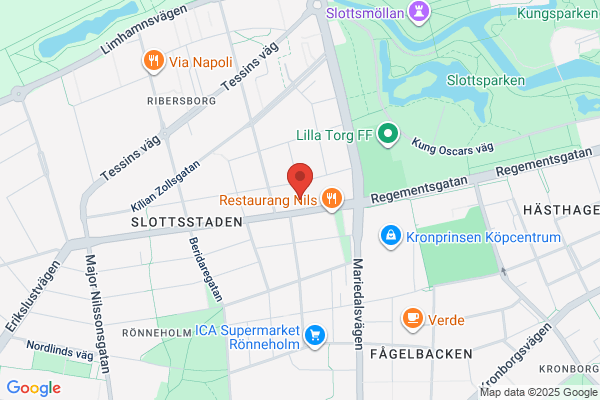Hudvårdaren i Slottsstaden