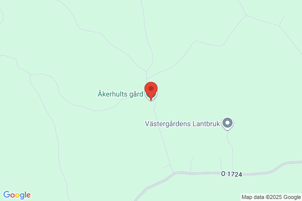 Axelssons Jord & Skogstjänst