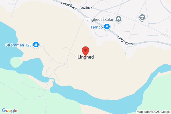 Brödleva