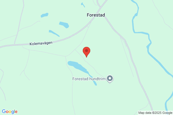 Forestad Ridcenter