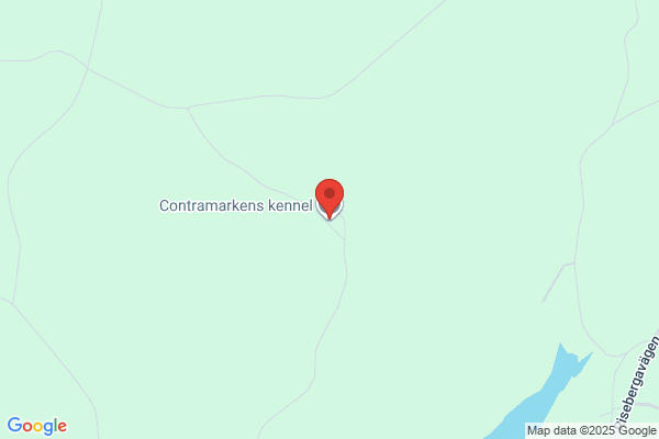Contramarken Kennel & Hundpensionat