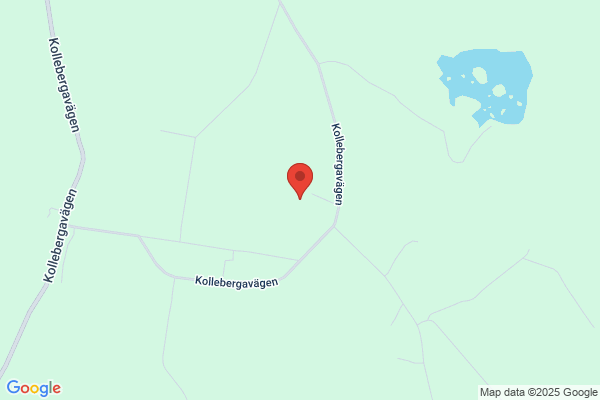 Kollebergagårdens Djurpensionat