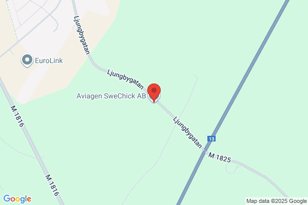 Swe-Chick AB