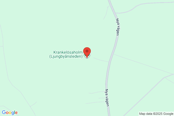 Karlsuddens