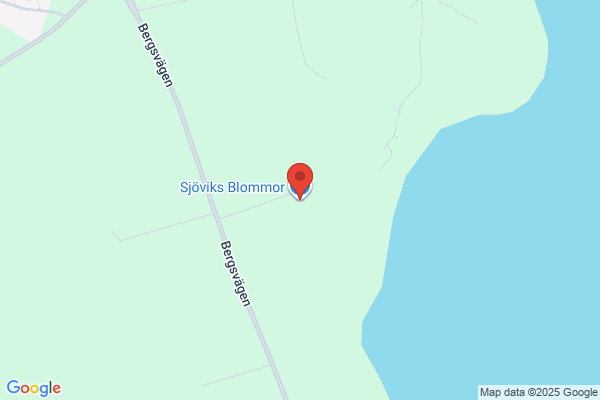 Sjöviks Blommor AB