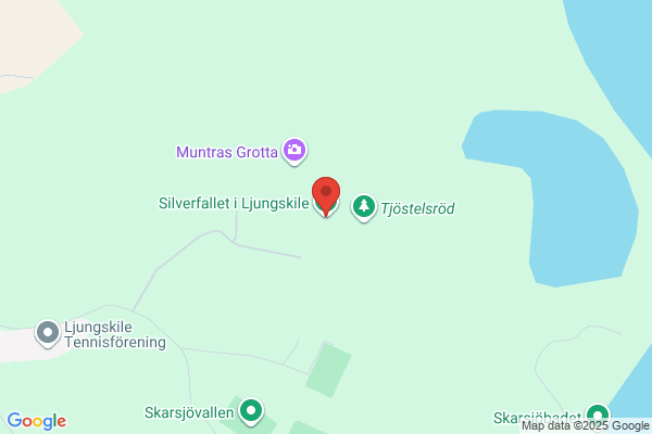 Ljungskile