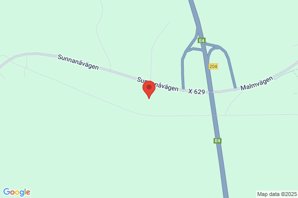 Raimos Måleri Service