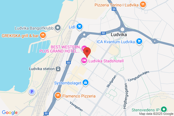 Ludvika Riv & Montage AB
