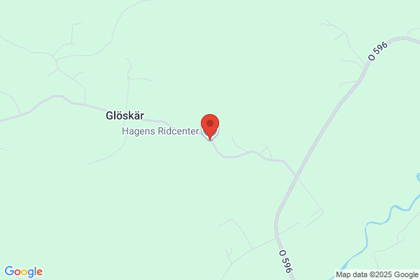 Hagens Ridsport