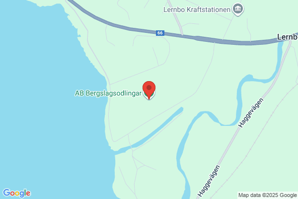 Ängsgårdens Hårvård