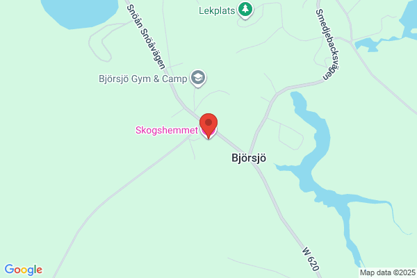Ludvika Skogshästar