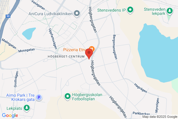 Ludvika Nya Trafikskola AB