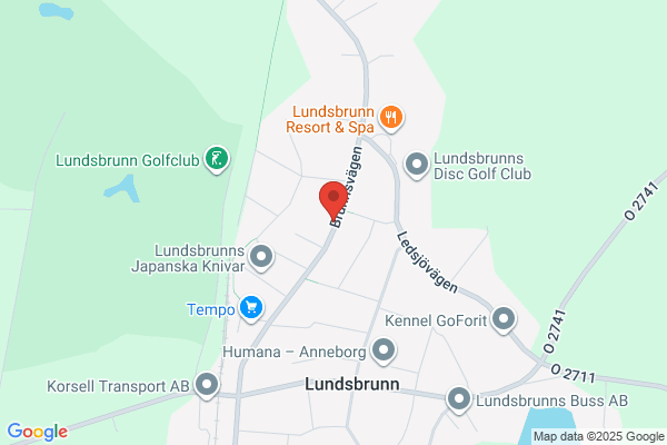 Auktionsgodsaffären Magnusson