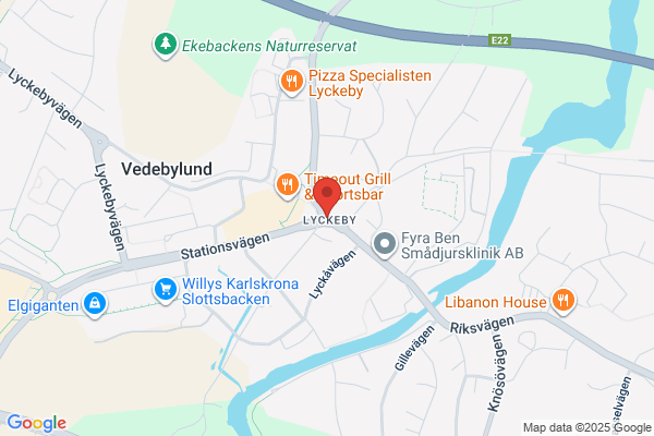 Pedersens VVS